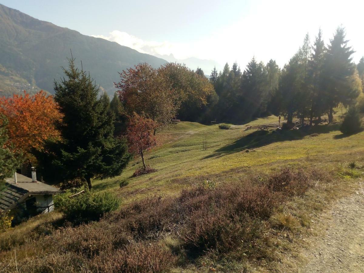 Casa Vacanza Pineta Malonno Exterior foto